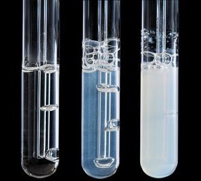 limewater in test tube